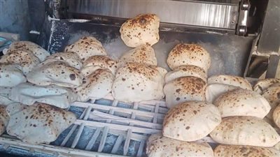 محافظ المنيا يوجه بتكثيف الحملات اليومية الميدانية على كافة القطاعات الخدمية