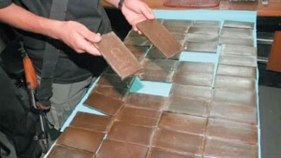 ضبط شخصين بحوزتهما 165 طربة حشيش بكلفة 1.2 مليون جنيه في المنيا 