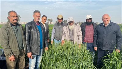 الزراعة تكشف حصاد أنشطة معهد أمراض النباتات