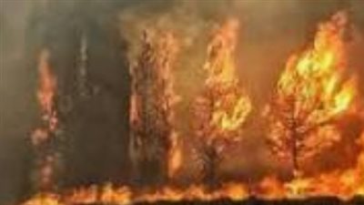 حريق هائل يلتهم محل تجاري بمنطقة بولاق الدكرور