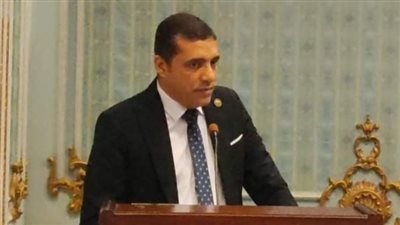 عضو لجنة الزراعة بالنواب يشيد بجهود الدولة المصرية لمحاربة الغلاء