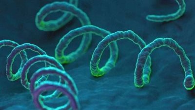 ما هو علاج مرض الزهري والوقاية منه؟.. الصحة تُجيب