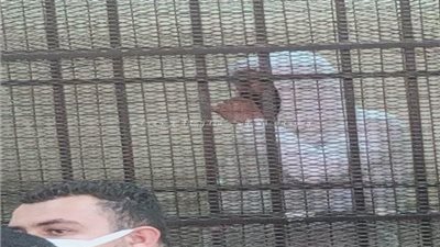 قرار هام من المحكمة في قضية رجل الأعمال محمد الأمين