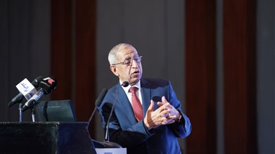 نص كلمة الدكتور إسماعيل عبد الغفار في افتتاح مؤتمر مارلوج 11