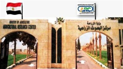 البحوث الزراعية يحصد المركز الرابع بين أفضل مراكز البحث في الشرق الأوسط