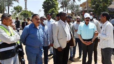 تفاصيل جولة محافظ أسوان داخل قرى ومراكز إدفو