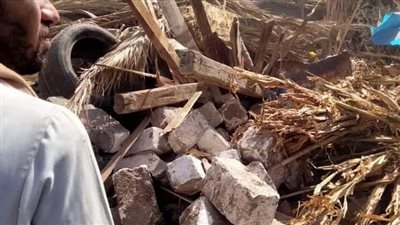 إزالة 10 حالات تعد على الأراضي الزراعية وأملاك الدولة بمراكز بالمنيا