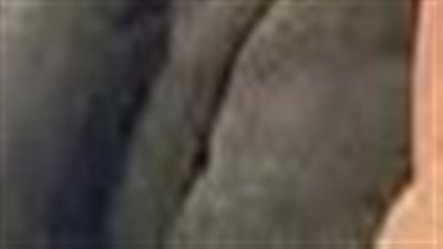 آخر تطورات واقعة قتل شاب وتقطيع جثته في أبو النمرس