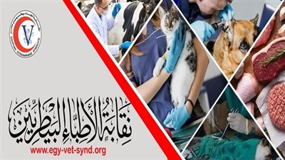 نقابة الأطباء البيطريين تعلن عن إجراء مسابقة القرآن الكريم 21 رمضان