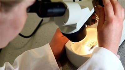 فريق علمي يطوّر طريقة لتصغير عُمر الخلايا البشرية 30 سنة!