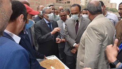 محافظ المنيا يتابع بدء موسم توريد محصول القمح