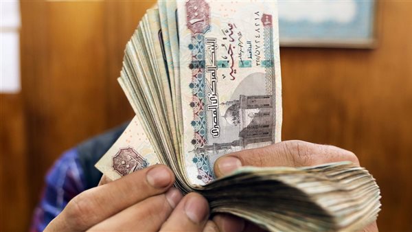 راتب شهر يناير 2026