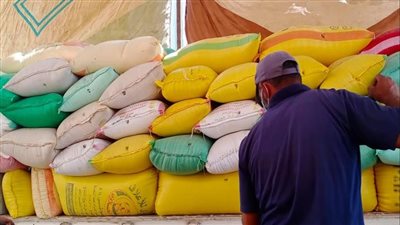 التموين تعلن فتح جميع مواقع استلام الأقماح المحلية للعمل بشكل منتظم