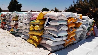 محافظ أسوان: توريد 13 ألف و326 طن من القمح