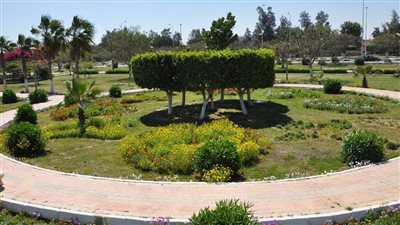 رفع كفاءة وتطوير الحدائق والمسطحات الخضراء بالمدن الجديدة