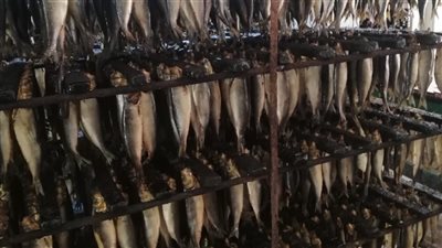 حملات تموينية مكبرة في زفتي وقطور وكفر الزيات وطنطا.. اعرف التفاصيل