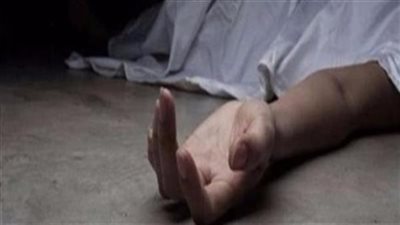 الزوجة تكشف السبب.. تفاصيل مقتل تاجر خردة على يد مسجل خطر بالدقهلية