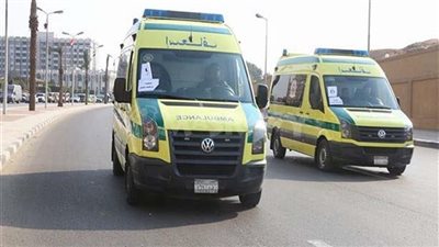 مصرع وإصابة 4 أشخاص فى حادث آليم بأسوان.. اعرف التفاصيل