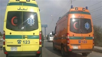 التفاصيل الكاملة فى حادث مصرع طفل وإصابة شقيقه خنقًا داخل منزلهما بسوهاج