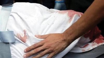 بسبب المدام.. عامل يقتل نسيبه ذبحًا بسكين فى مشاجرة بينهما بسوهاج
