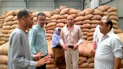 محافظ المنيا: توريد 72 ألف طن من القمح منذ بدء الموسم بالشون والصوامع