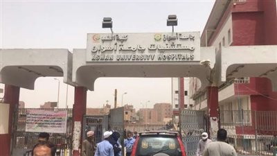 إصابة شقيقين فى مشاجرة بالعقاد بأسوان