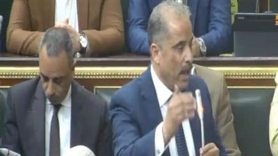 برلمانى يكشف أسباب تدهور الأوضاع الصحية بمدينة حلوان وضواحيها