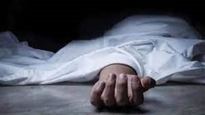 الجنايات تصدر حكمها بشأن المتهم بقتل شاب وترويع المواطنين في شبين القناطر