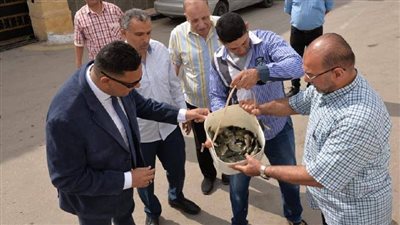 كواليس تنفيذ خطة إلقاء 2 مليون ذريعة سمكية في النيل بالدقهلية
