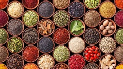 5 أسباب تحرم مصر من مليارات صناعة النباتات الطبية والعطرية