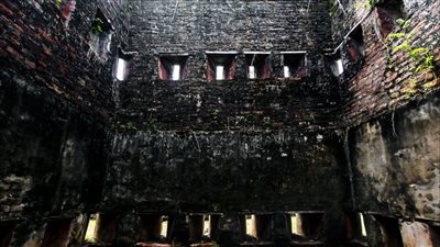 سجن الدجاج.. عذاب لا يتخيله بشر!