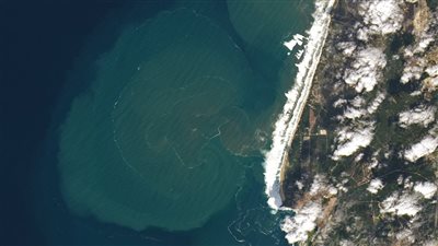 ما هي وحوش الشواطئ البرتغالية التي كشفتها ناسا وتحدثت عنها نتفليكس؟