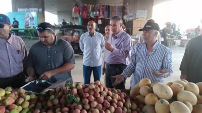 مجلس مدينة السنبلاوين يشن حملة لرفع الإشغالات والتعديات على الطرق