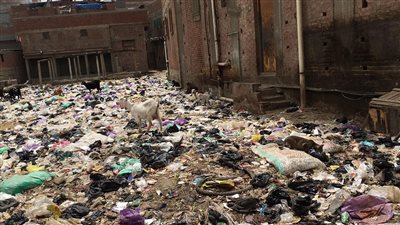 القمامة والصرف الصحي يغرقان قرية طبل بعزبة البرج في دمياط (صور)