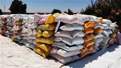 هيئة السلع التموينية تعلن التعاقد على شراء 120 ألف طن قمح روسي