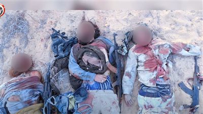 القوات المسلحة: مقتل 10 عناصر إرهابية شديدة الخطورة في شمال سيناء.. فيديو