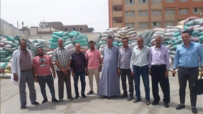 بعد ضبط 60 أردب قمح.. موقف توريد محصول القمح للشون والصوامع بسوهاج