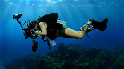 الإفتاء توضح حكم تصوير السياح تحت الماء 