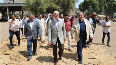 شون وصوامع المنيا تستقبل 445 ألف طن قمح بجميع المراكز 