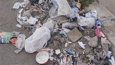 أزمات طاحنة تواجه سكان حي النرجس بمدينة بدر ومطالب بتدخل رئيس الحي