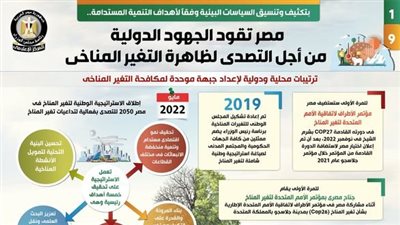 مصر تقود الجهود الدولية من أجل التصدي لظاهرة التغير المناخي| إنفوجراف