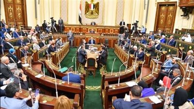 طلب احاطة: مخالفات مالية ووفيات بسبب انقطاع الكهرباء بمستشفيات سوهاج