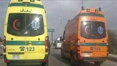 بالأسماء.. مصرع عامل وإصابة 2 آخرين دهسًا تحت سيارة نقل ثقيل بسوهاج