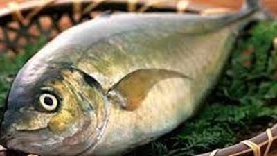 بحث حديث يكشف: تناول الأسماك يؤدي إلى الإصابة بهذا النوع من السرطان 