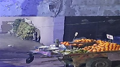 استغاثة عاجلة بشأن كارثة خطيرة تُهدد حياة سكان المنيل بمصر القديمة