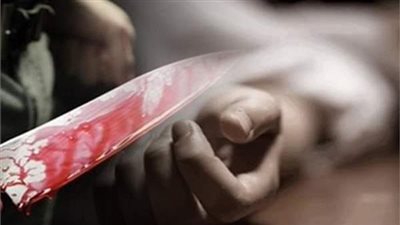 تفاصيل جديدة تكشفها التحقيقات بشأن مقتل سيدة على يد زوجها بالقليوبية