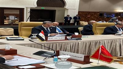 مصر تحصل على عضوية اتحاد المجالس الاقتصادية والاجتماعية بالجزائر 
