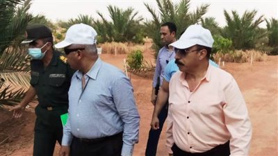 محافظ أسوان: التنسيق مع مسئولي جائزة خليفة الدولية لانجاح مهرجان التمور