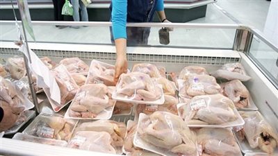 رسالة طمأنة من التموين بشأن الدواجن