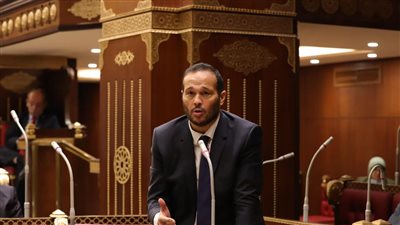 النائب محمد حلاوة: مصر والمملكة العربية السعودية صمام أمان المنطقة العربية